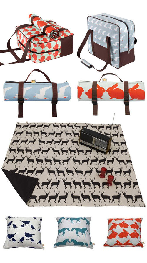 cool bag and picnic rug