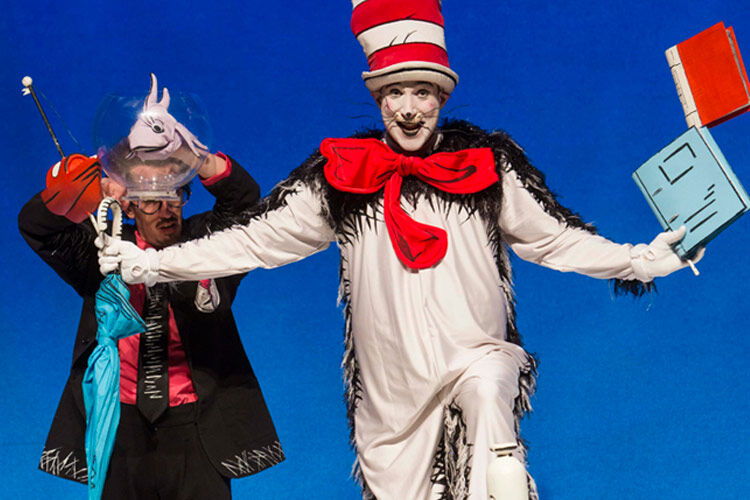 cat in the hat live