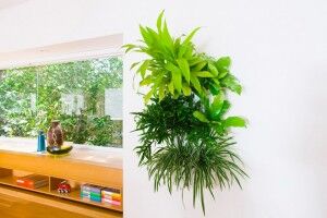 download free indoor planting