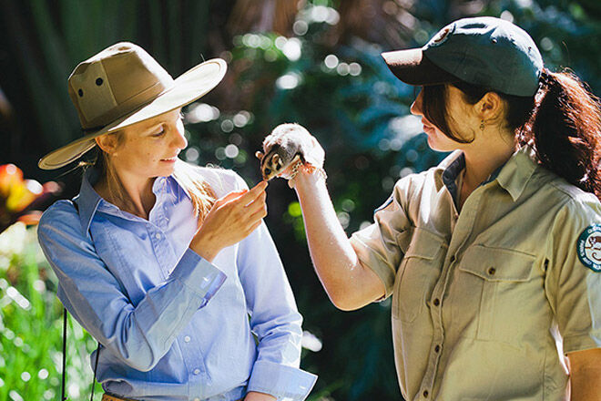 Queensland Gold Coast kid animal holiday