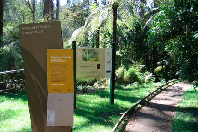 Sherbrooke Loop, Dandenong Ranges National Park wheelchairs and prams