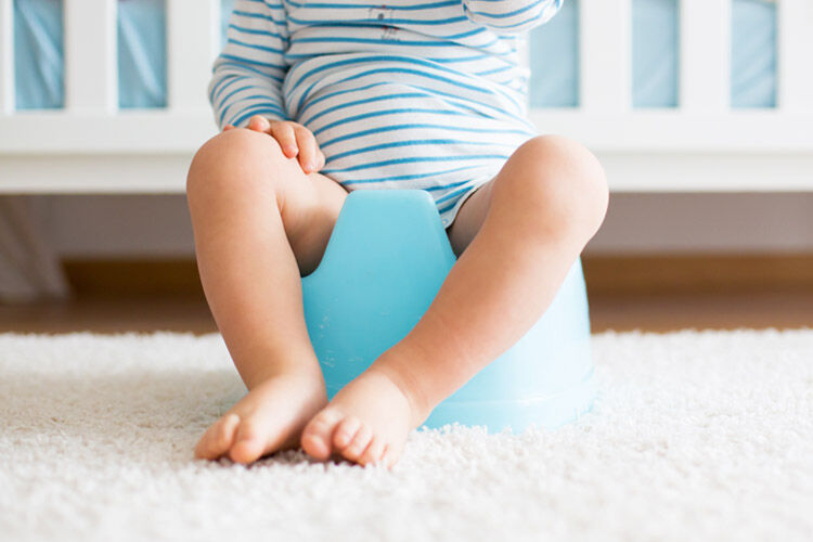 baby bjorn toilet trainer target