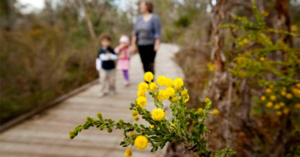 28 pram-friendly walks in Victoria | Mum's Grapevine