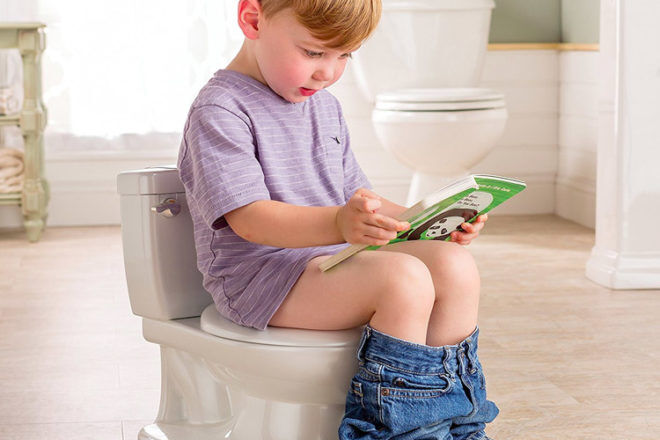 Summer Infant My Size Potty