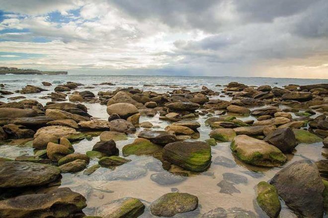 Maroubra rockpools