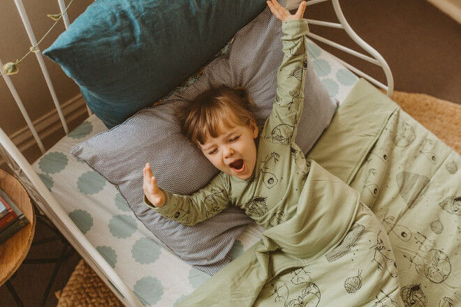 toddler bed quilts