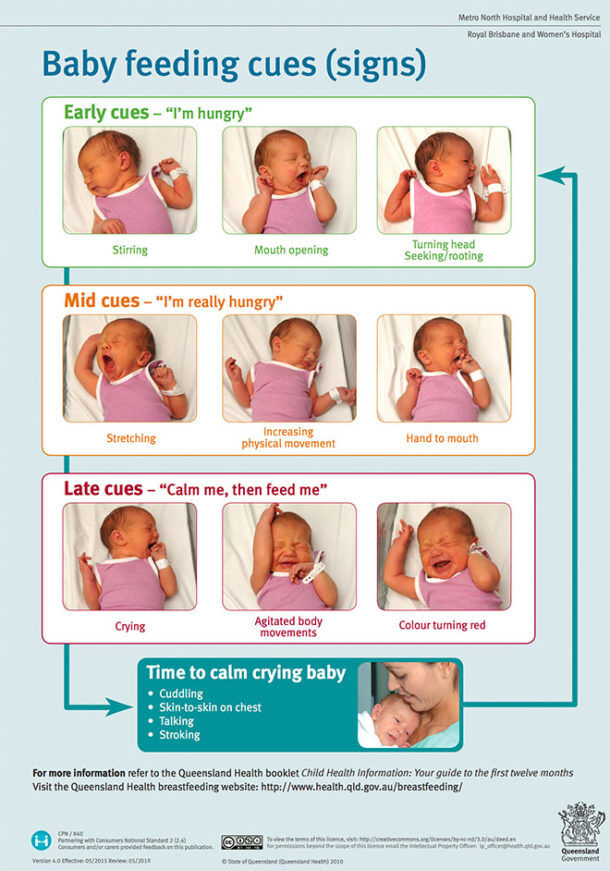 a-visual-guide-to-recognising-a-baby-s-hunger-signs-mum-s-grapevine