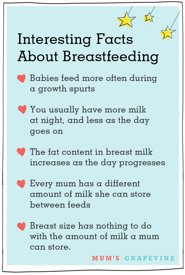 breast milk facts