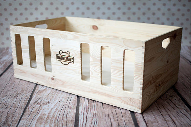 crate and kids bassinet