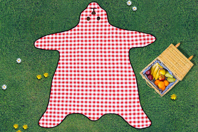 pretty picnic blanket