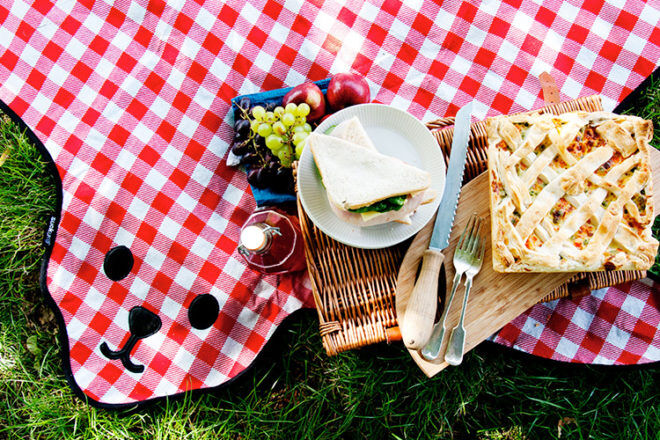 pretty picnic blanket