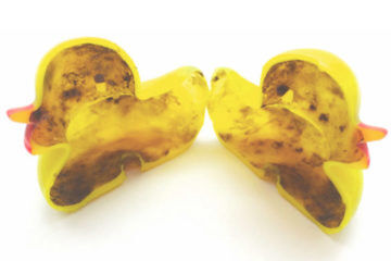 non mouldy bath toys