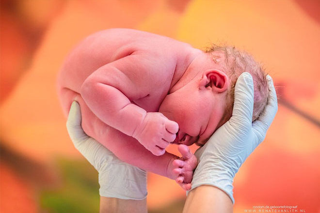 Renate van Lith birth photography