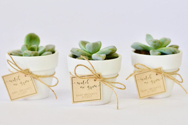 plant baby shower favors