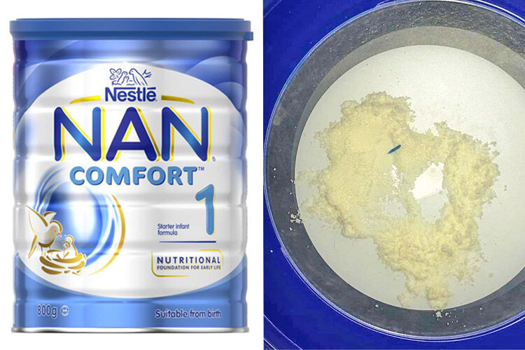 buy nan comfort 1