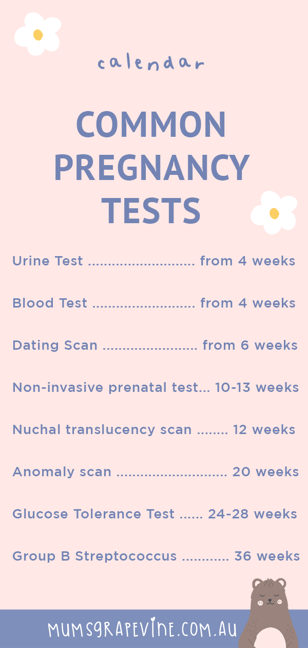 Prenatal tests and screenings calendar Mum's Grapevine