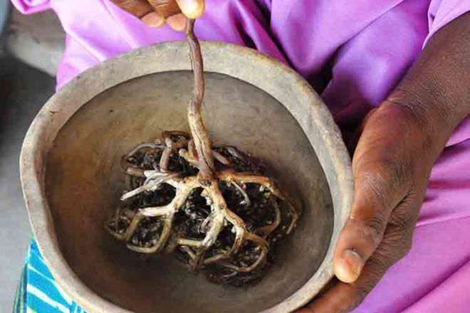 Nigerian birth ritual