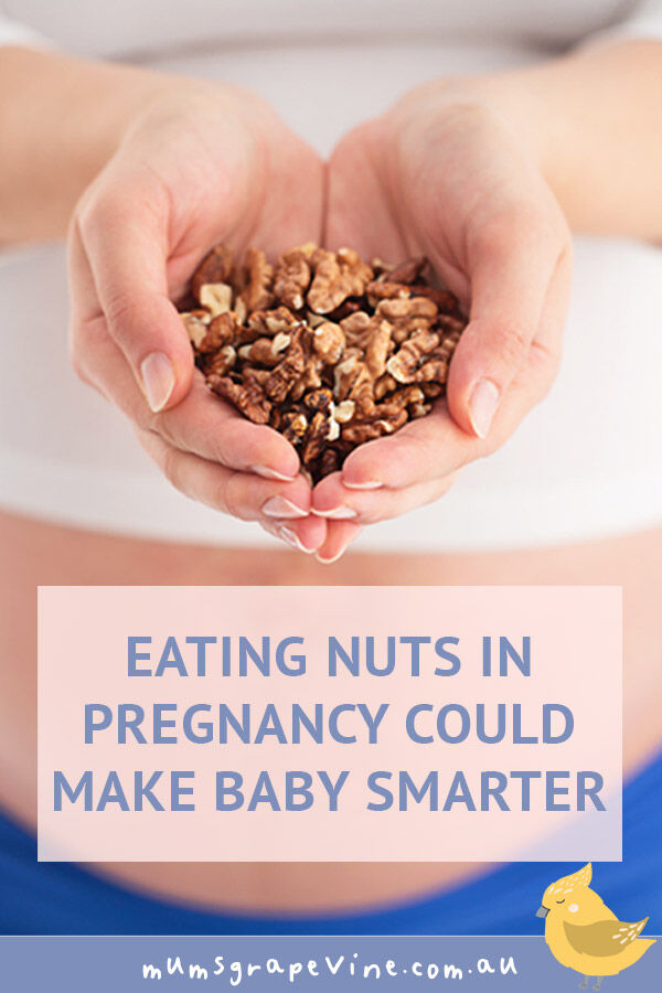 Macadamia Nuts While Pregnant at Renee Root blog