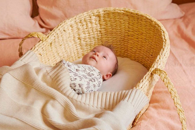 sleepi spaces moses basket