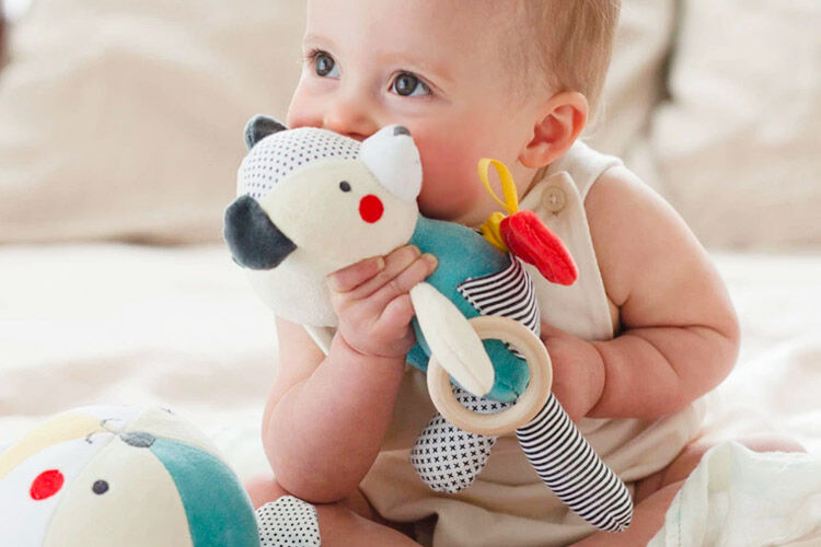 19 Best Gifts And Toys For 6 month olds Mum s Grapevine