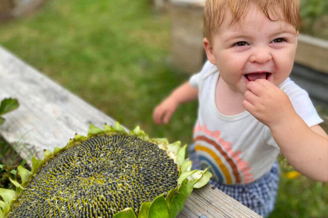 Sustainable vegan preschool